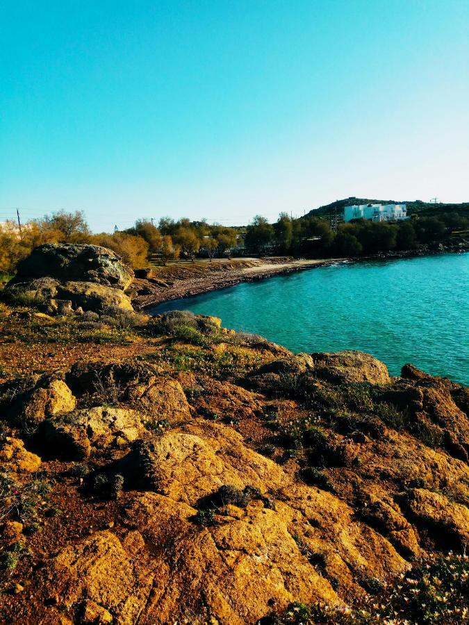 Villa Agapitos ステリダ エクステリア 写真